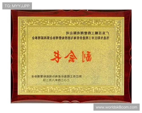 K8凯发集团网址多渠道推广策略解析，助力企业实现线上线下融合发展